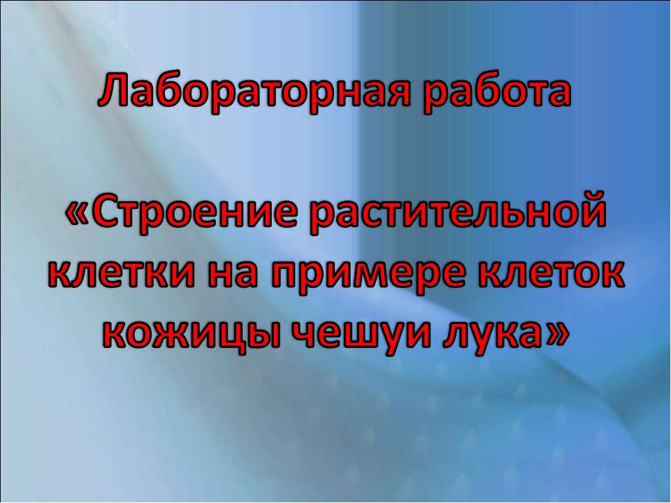 Строение растительной клетки на примере клеток кожицы чешуи лука - Скачать Читать Лучшую Школьную Библиотеку Учебников