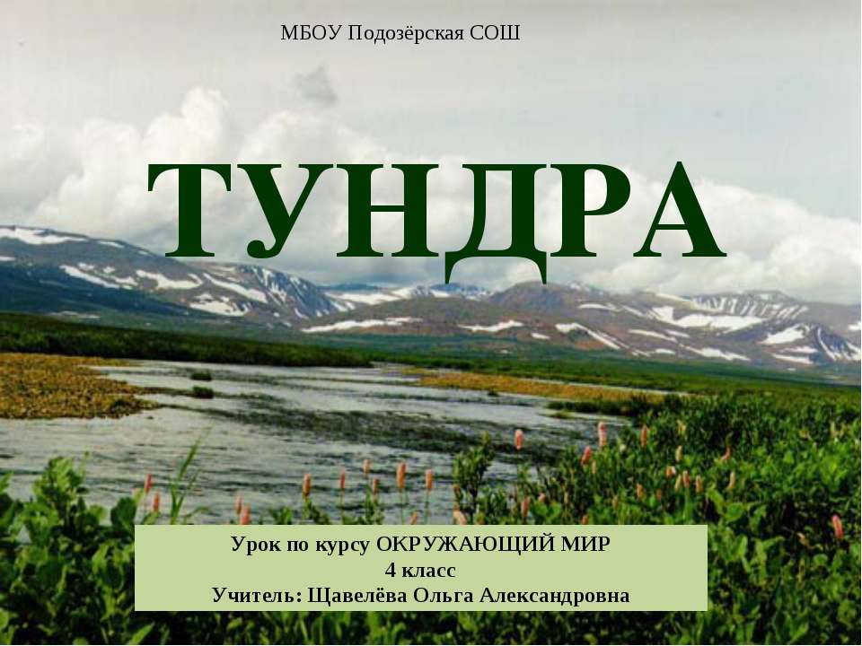 Тундра 4 класс - Скачать Читать Лучшую Школьную Библиотеку Учебников (100% Бесплатно!)