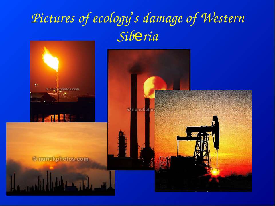 Pictures of ecology’s damage of Western Siberia - Скачать Читать Лучшую Школьную Библиотеку Учебников (100% Бесплатно!)