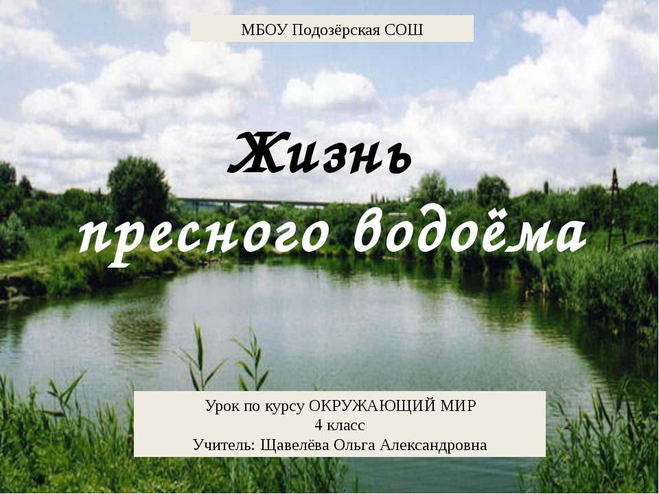 Жизнь пресного водоема 4 класс - Скачать Читать Лучшую Школьную Библиотеку Учебников (100% Бесплатно!)