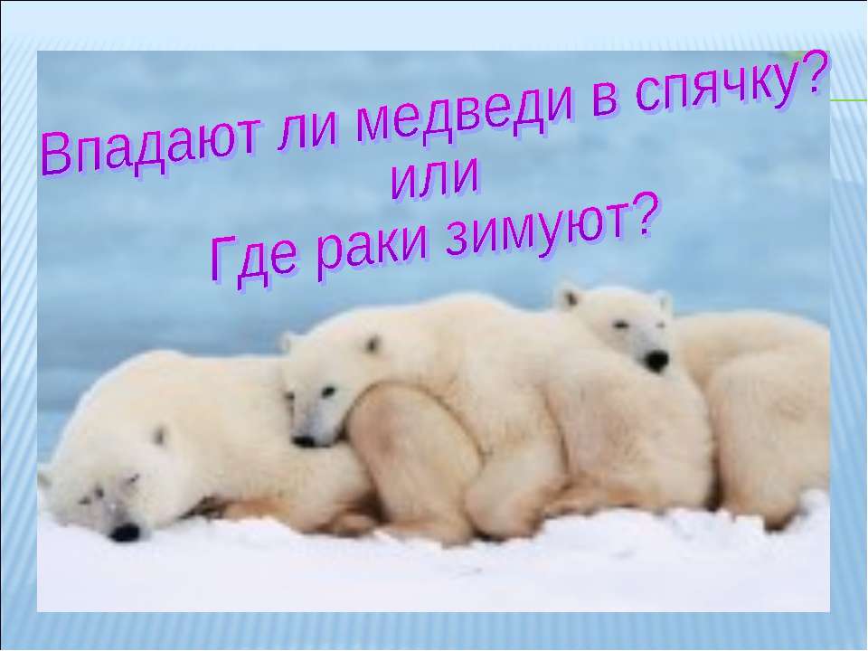 Впадают ли медведи в спячку? Или где раки зимуют? - Скачать Читать Лучшую Школьную Библиотеку Учебников (100% Бесплатно!)