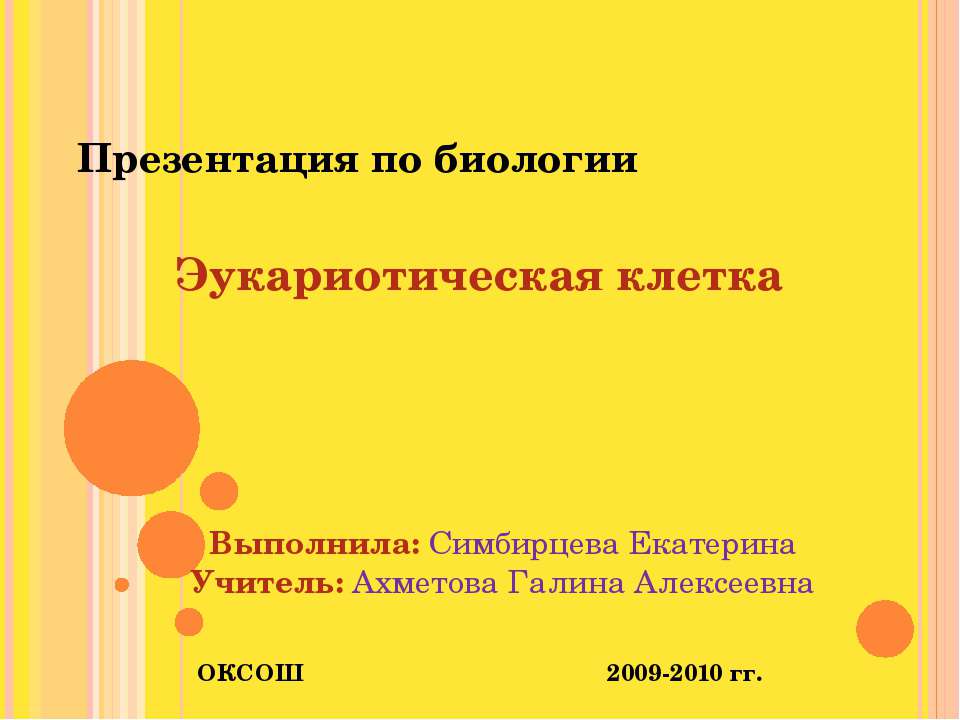 Эукариотическая клетка - Скачать Читать Лучшую Школьную Библиотеку Учебников (100% Бесплатно!)