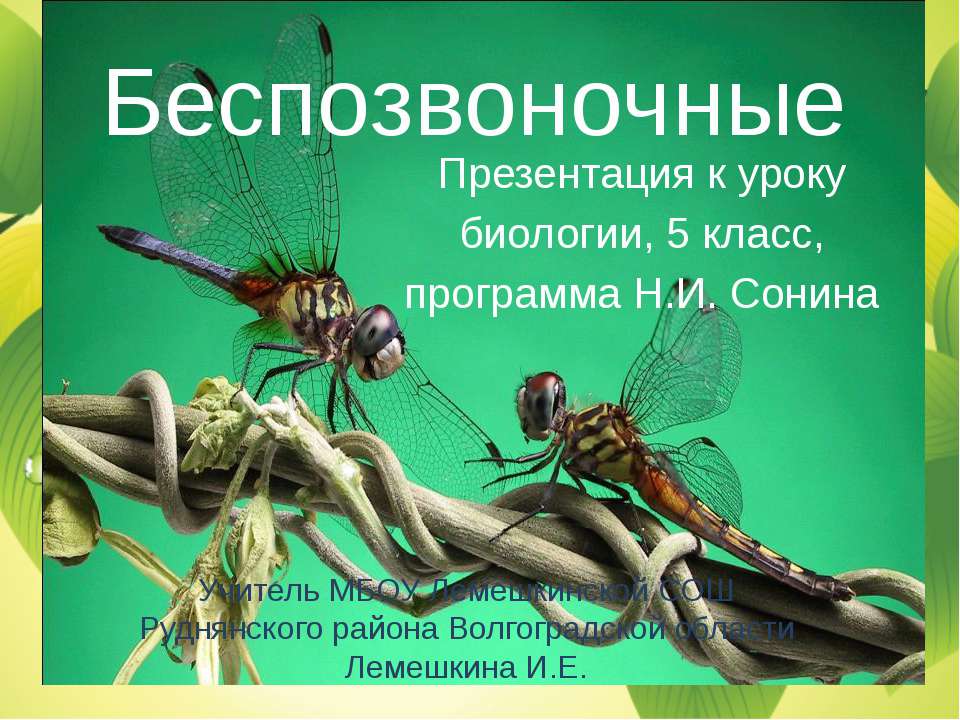 Беспозвоночные - Скачать Читать Лучшую Школьную Библиотеку Учебников (100% Бесплатно!)