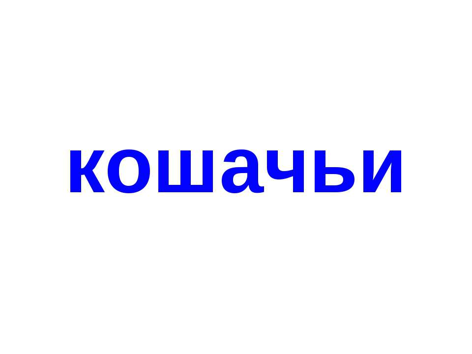 Кошачьи - Скачать Читать Лучшую Школьную Библиотеку Учебников (100% Бесплатно!)