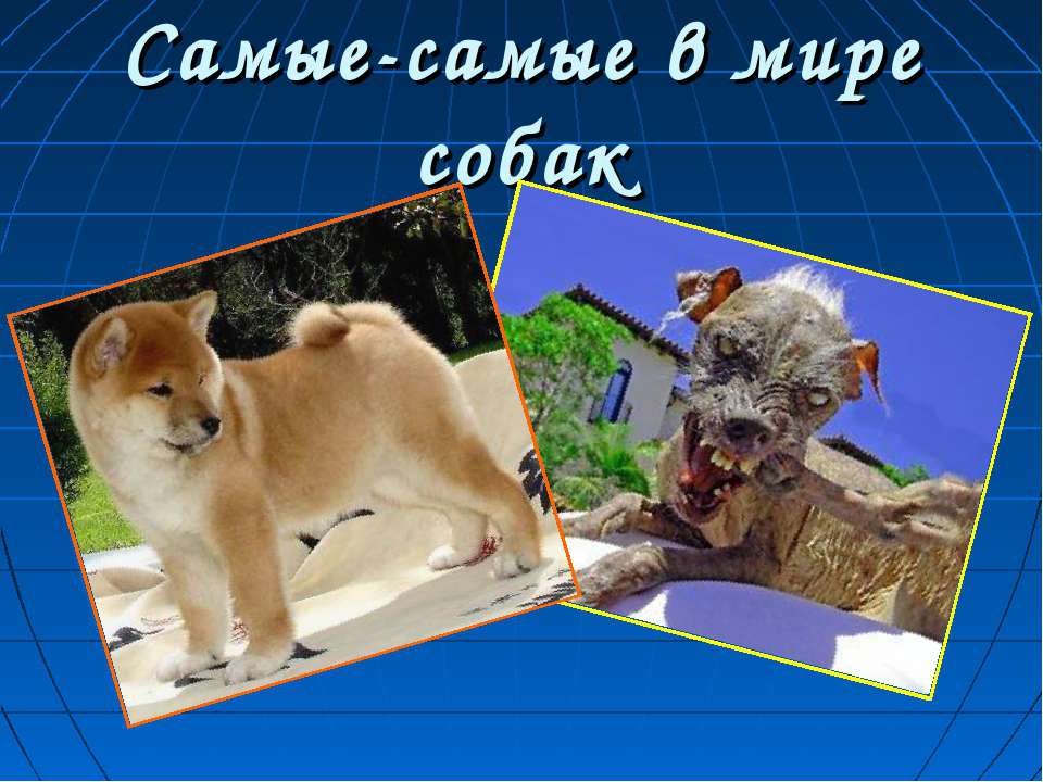 Самые-самые в мире собак - Скачать Читать Лучшую Школьную Библиотеку Учебников