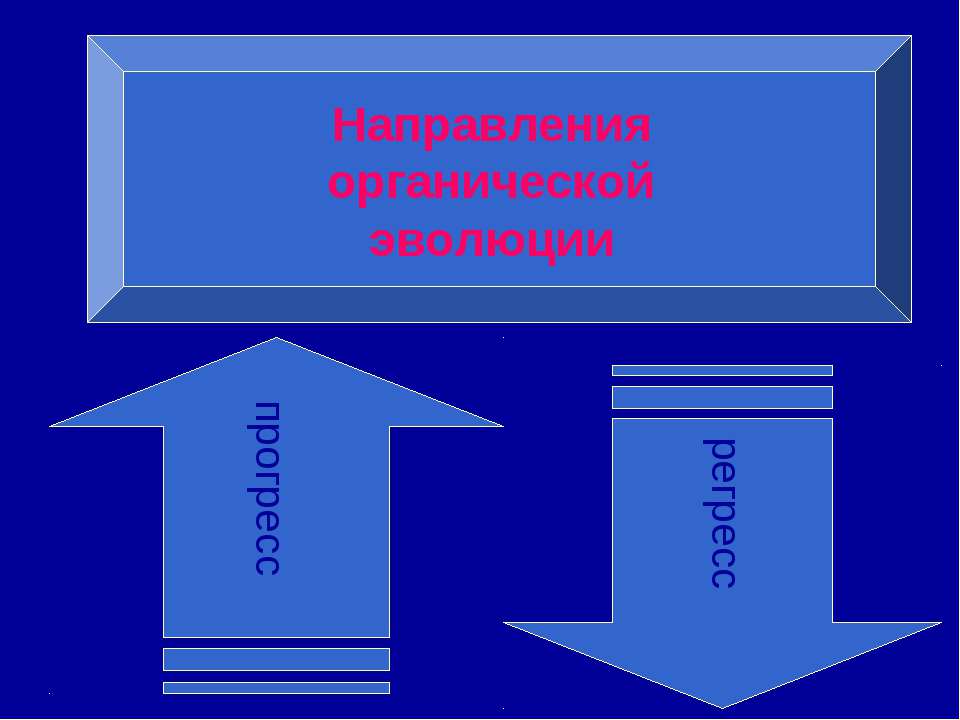 Направления органической эволюции - Скачать Читать Лучшую Школьную Библиотеку Учебников