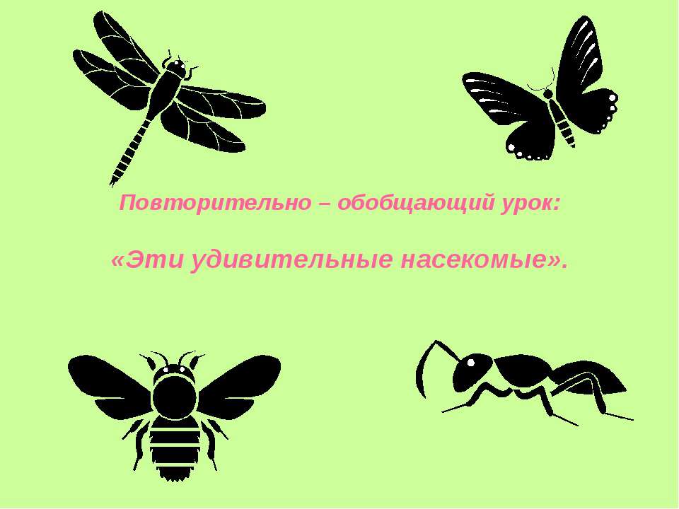 Эти удивительные насекомые - Скачать Читать Лучшую Школьную Библиотеку Учебников (100% Бесплатно!)