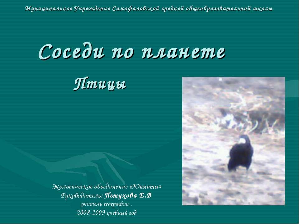 Соседи по планете Птицы - Скачать Читать Лучшую Школьную Библиотеку Учебников