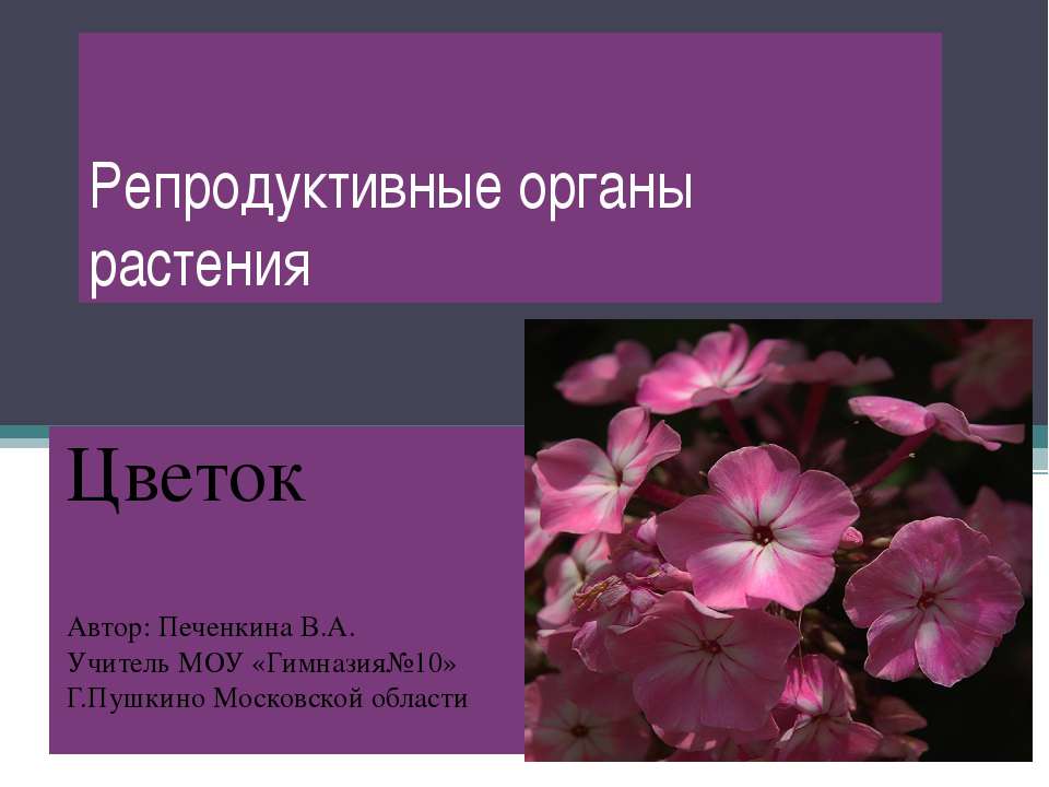 Репродуктивные органы растения - Скачать Читать Лучшую Школьную Библиотеку Учебников