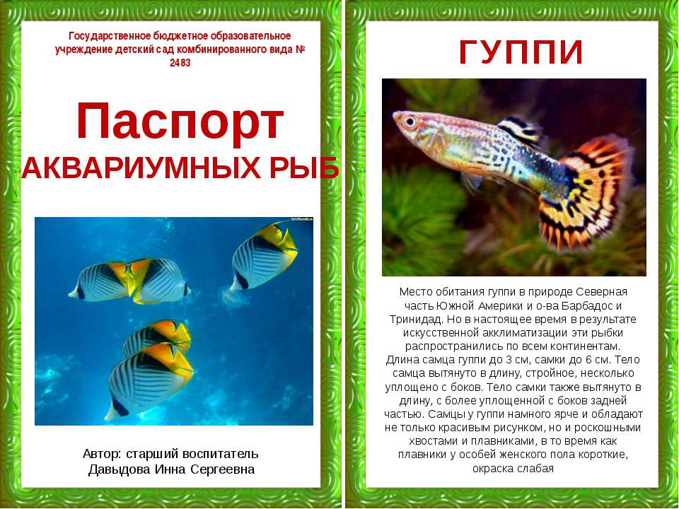 Паспорт аквариумных рыб - Скачать Читать Лучшую Школьную Библиотеку Учебников (100% Бесплатно!)