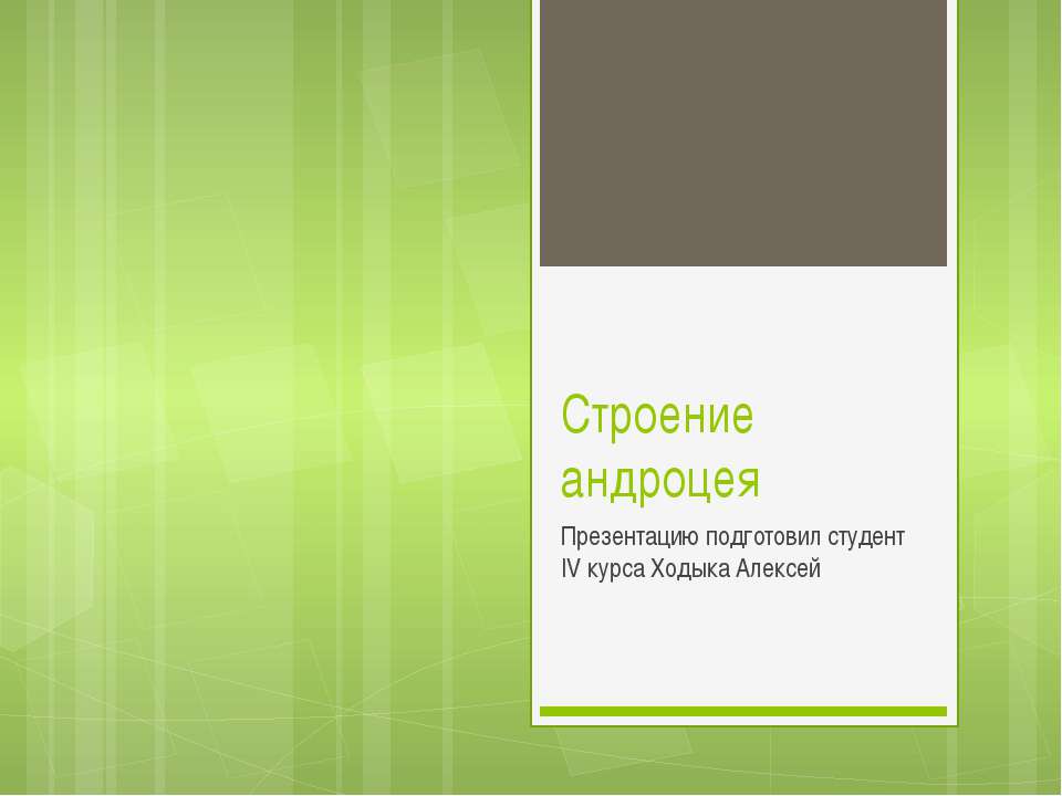 Строение андроцея - Скачать Читать Лучшую Школьную Библиотеку Учебников (100% Бесплатно!)