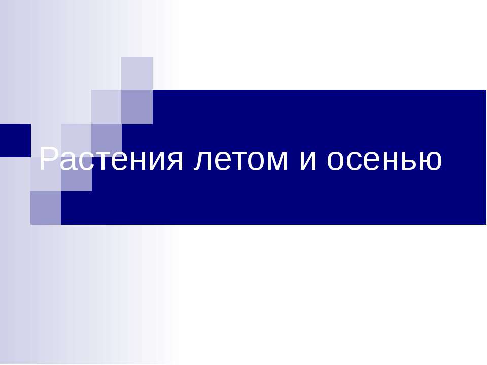 Растения летом и осенью - Скачать Читать Лучшую Школьную Библиотеку Учебников