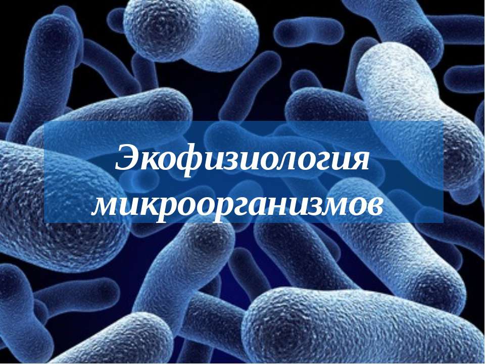 Экофизиология микроорганизмов - Скачать Читать Лучшую Школьную Библиотеку Учебников (100% Бесплатно!)