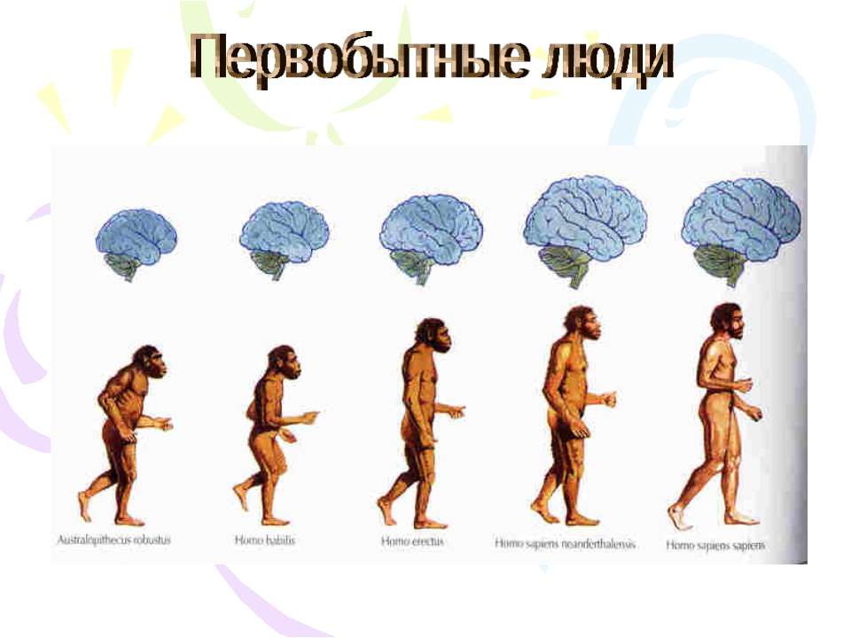 Первобытные люди - Скачать Читать Лучшую Школьную Библиотеку Учебников (100% Бесплатно!)