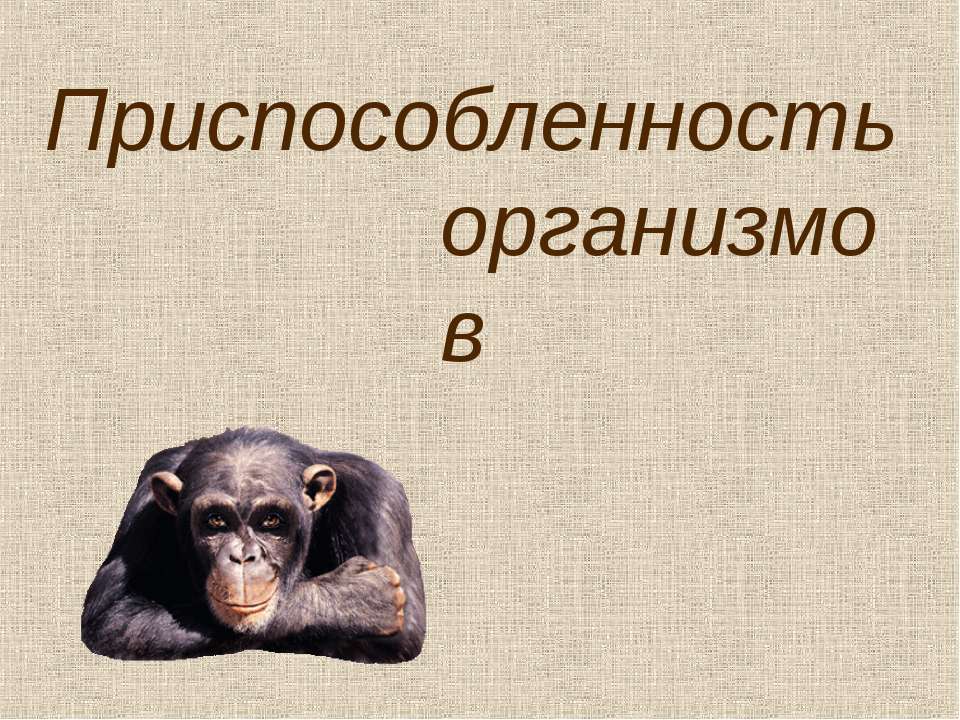 Приспособленность организмов - Скачать Читать Лучшую Школьную Библиотеку Учебников (100% Бесплатно!)