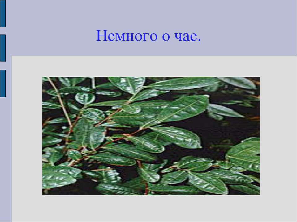 Немного о чае - Скачать Читать Лучшую Школьную Библиотеку Учебников