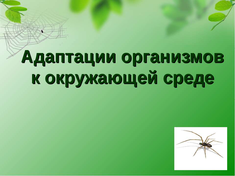 Адаптации организмов к окружающей среде - Скачать Читать Лучшую Школьную Библиотеку Учебников (100% Бесплатно!)