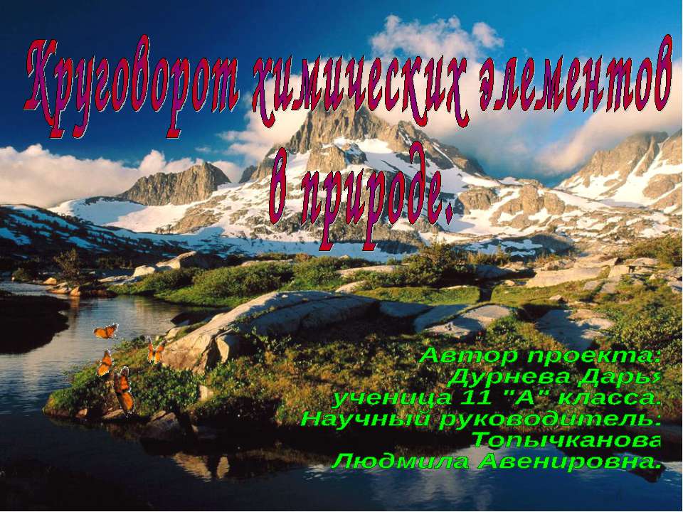 Круговорот химических элементов в природе - Скачать Читать Лучшую Школьную Библиотеку Учебников