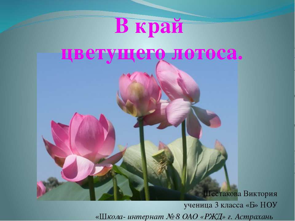 В край цветущего лотоса - Скачать Читать Лучшую Школьную Библиотеку Учебников (100% Бесплатно!)