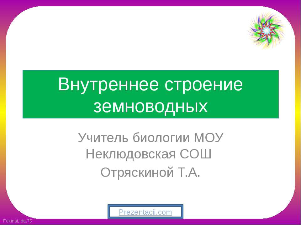 Внутреннее строение земноводных - Скачать Читать Лучшую Школьную Библиотеку Учебников