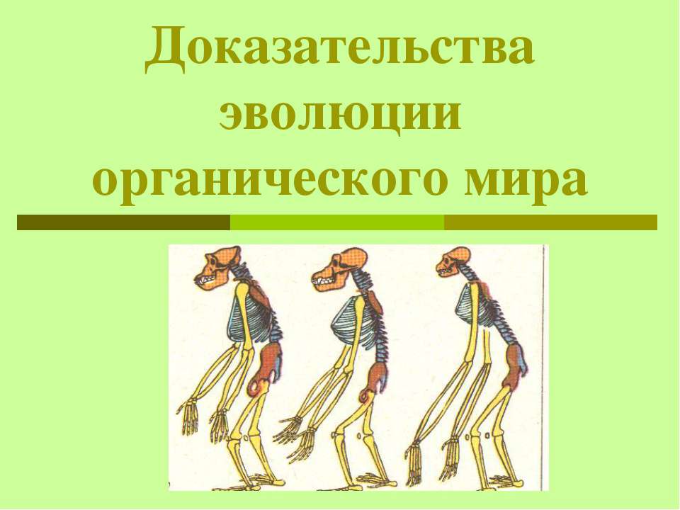 Доказательства эволюции органического мира - Скачать Читать Лучшую Школьную Библиотеку Учебников