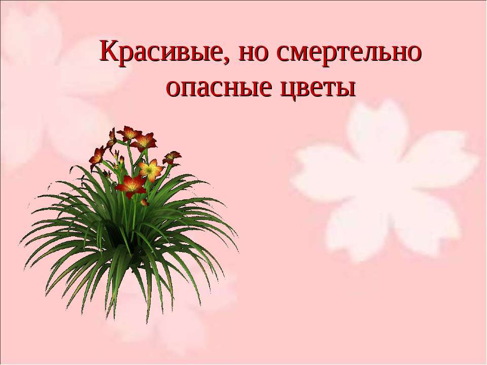 Красивые, но смертельно опасные цветы - Скачать Читать Лучшую Школьную Библиотеку Учебников