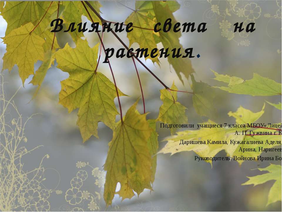 Влияние света на растения - Скачать Читать Лучшую Школьную Библиотеку Учебников (100% Бесплатно!)