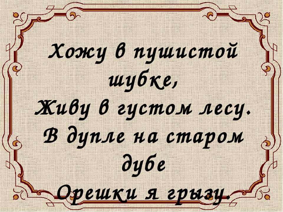 Белочка - Скачать Читать Лучшую Школьную Библиотеку Учебников (100% Бесплатно!)