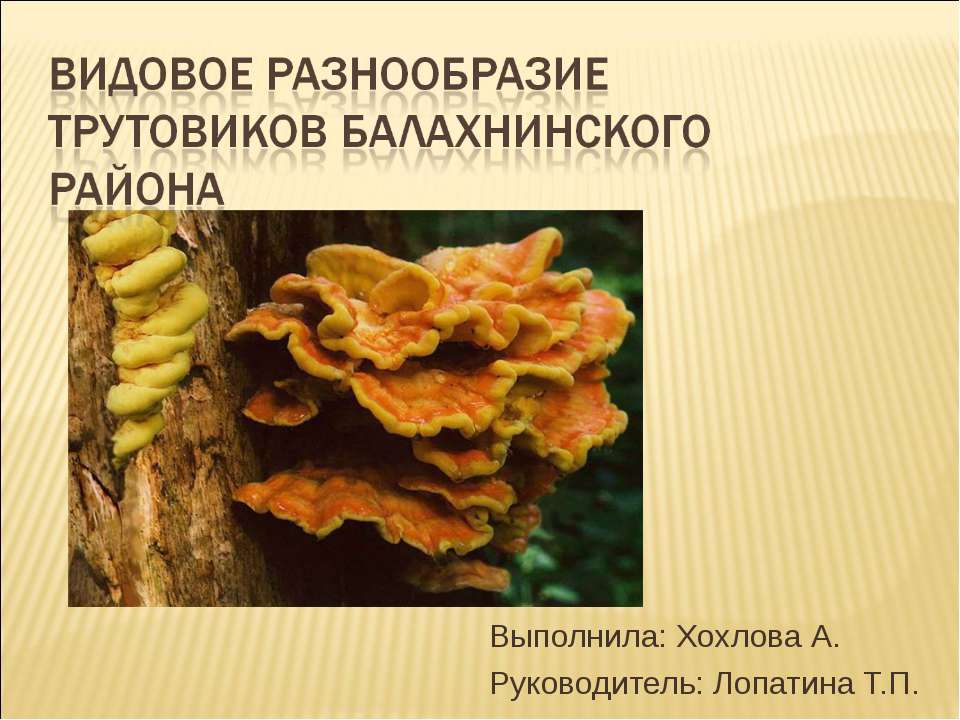 Видовое разнообразие трутовиков Балахнинского района - Скачать Читать Лучшую Школьную Библиотеку Учебников