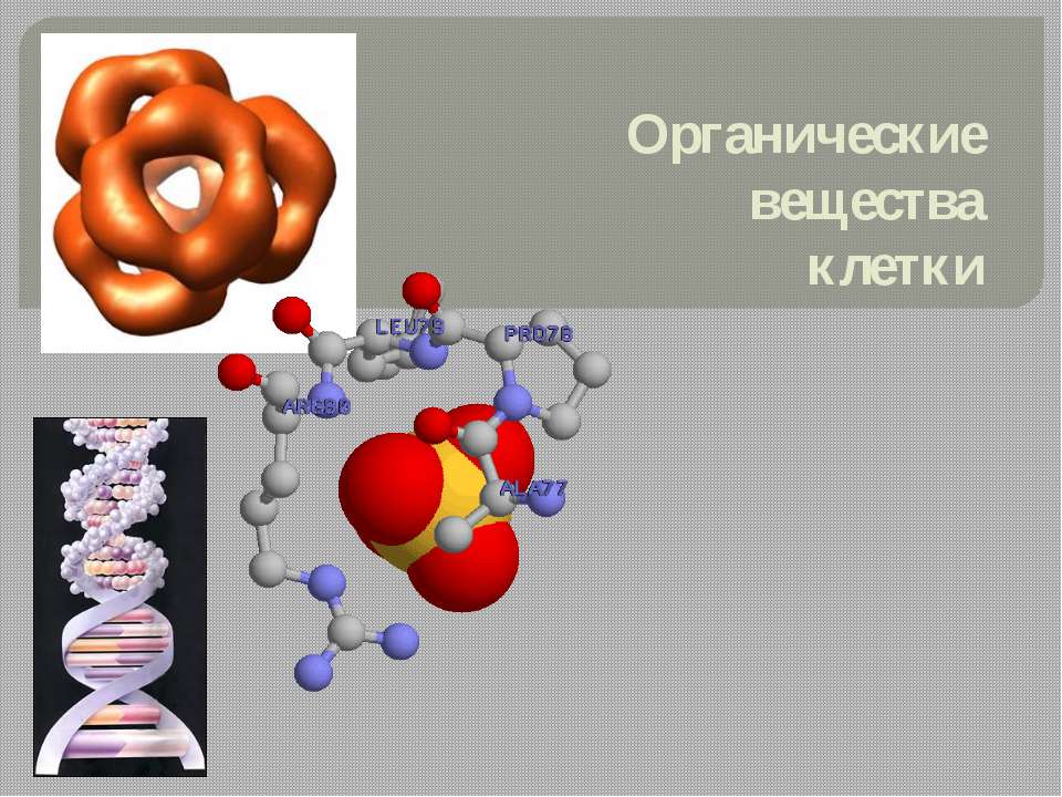 Органические вещества клетки - Скачать Читать Лучшую Школьную Библиотеку Учебников (100% Бесплатно!)