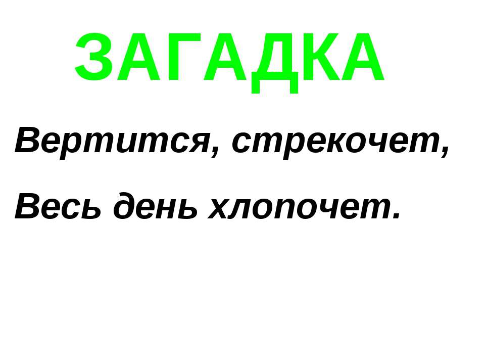 ЗАГАДКА "Собака" - Скачать Читать Лучшую Школьную Библиотеку Учебников (100% Бесплатно!)