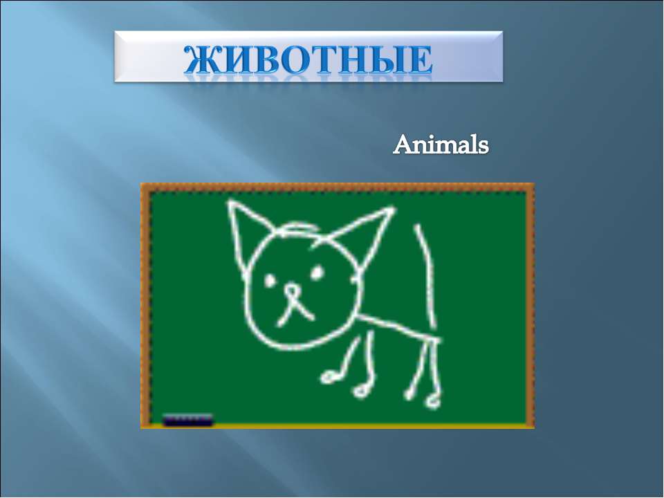 Животные - Скачать Читать Лучшую Школьную Библиотеку Учебников (100% Бесплатно!)