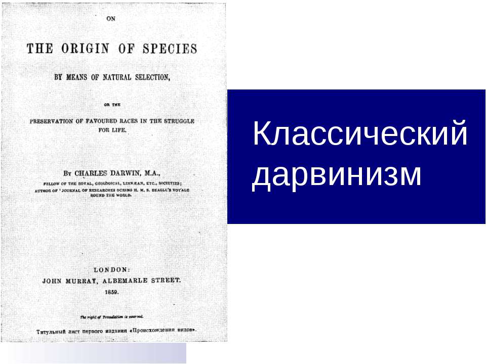 Классический дарвинизм - Скачать Читать Лучшую Школьную Библиотеку Учебников (100% Бесплатно!)