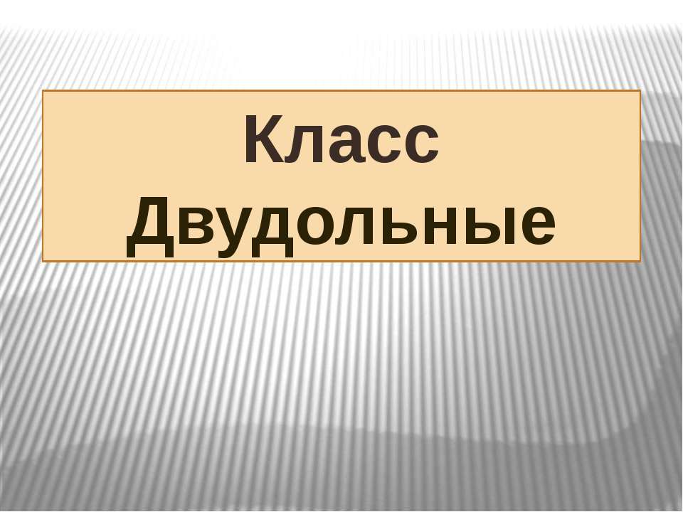 Класс Двудольные - Скачать Читать Лучшую Школьную Библиотеку Учебников (100% Бесплатно!)