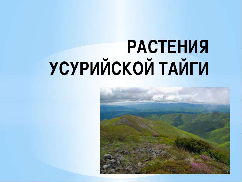 Растения Уссурийской Тайги - Скачать Читать Лучшую Школьную Библиотеку Учебников (100% Бесплатно!)