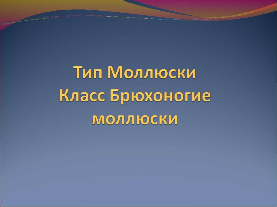 Тип Моллюски Класс Брюхоногие моллюски - Скачать Читать Лучшую Школьную Библиотеку Учебников