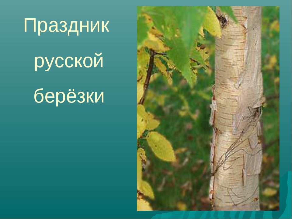 Праздник русской берёзки - Скачать Читать Лучшую Школьную Библиотеку Учебников (100% Бесплатно!)