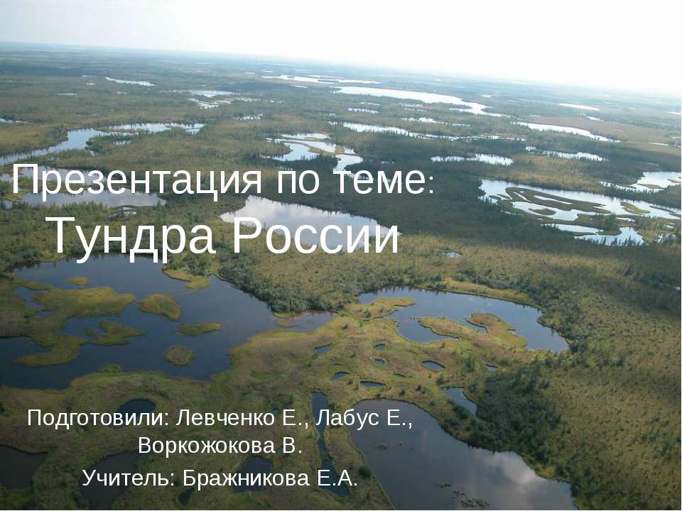 Тундра России - Скачать Читать Лучшую Школьную Библиотеку Учебников (100% Бесплатно!)