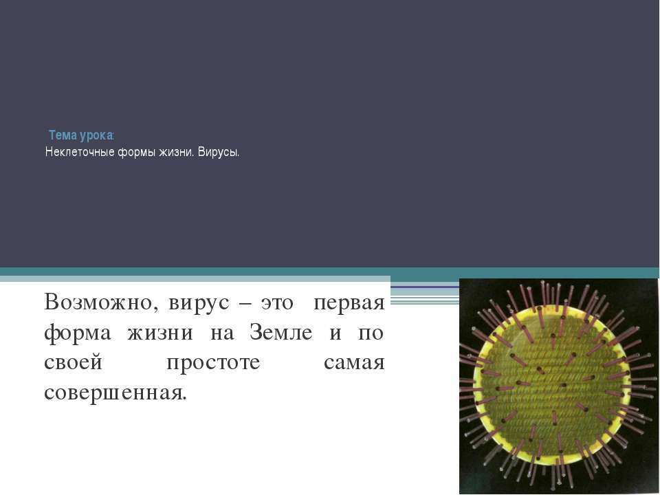 Неклеточные формы жизни. Вирусы - Скачать Читать Лучшую Школьную Библиотеку Учебников