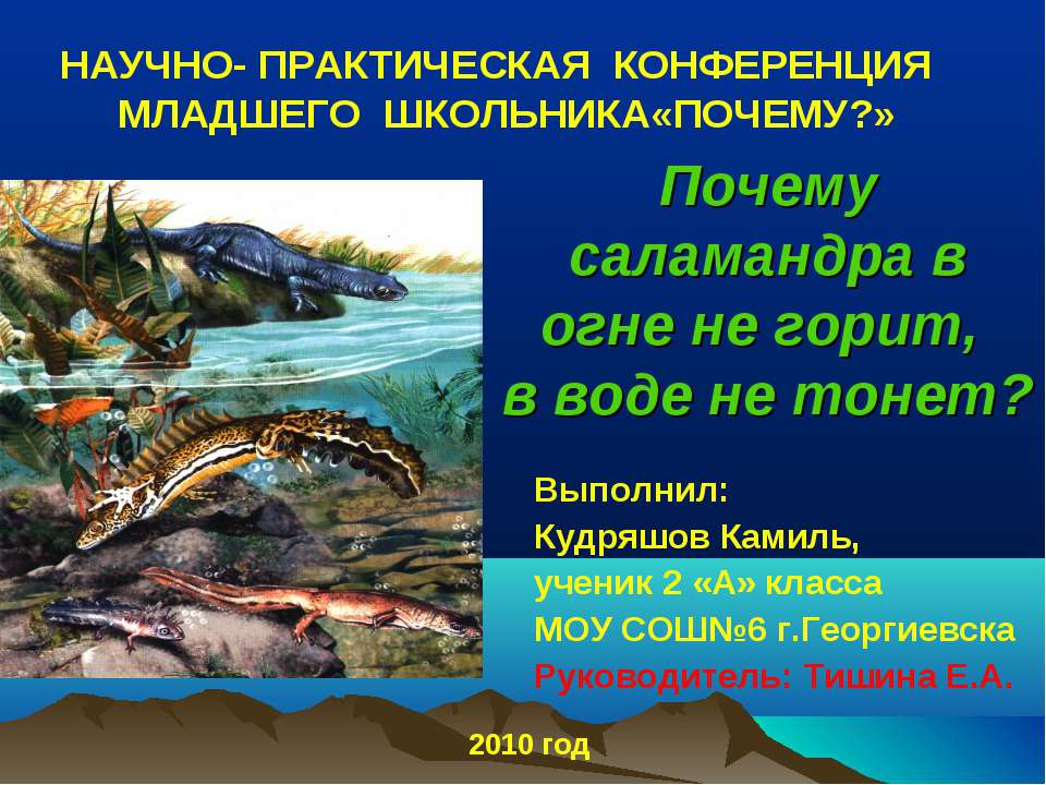 Почему саламандра в огне не горит, в воде не тонет? - Скачать Читать Лучшую Школьную Библиотеку Учебников