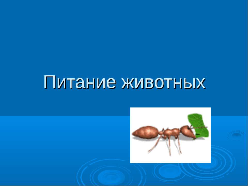 Питание животных - Скачать Читать Лучшую Школьную Библиотеку Учебников (100% Бесплатно!)