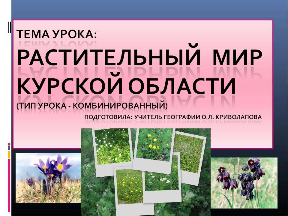 Растительный мир Курской области - Скачать Читать Лучшую Школьную Библиотеку Учебников (100% Бесплатно!)