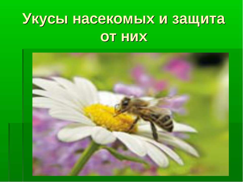 Укусы насекомых и защита от них - Скачать Читать Лучшую Школьную Библиотеку Учебников (100% Бесплатно!)