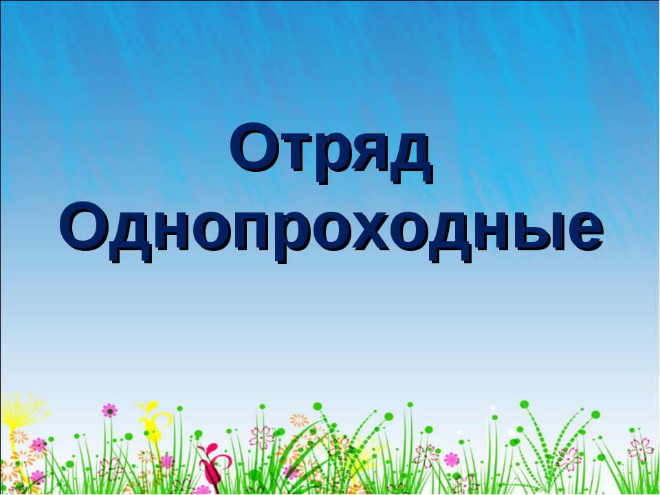 Отряд Однопроходные - Скачать Читать Лучшую Школьную Библиотеку Учебников (100% Бесплатно!)