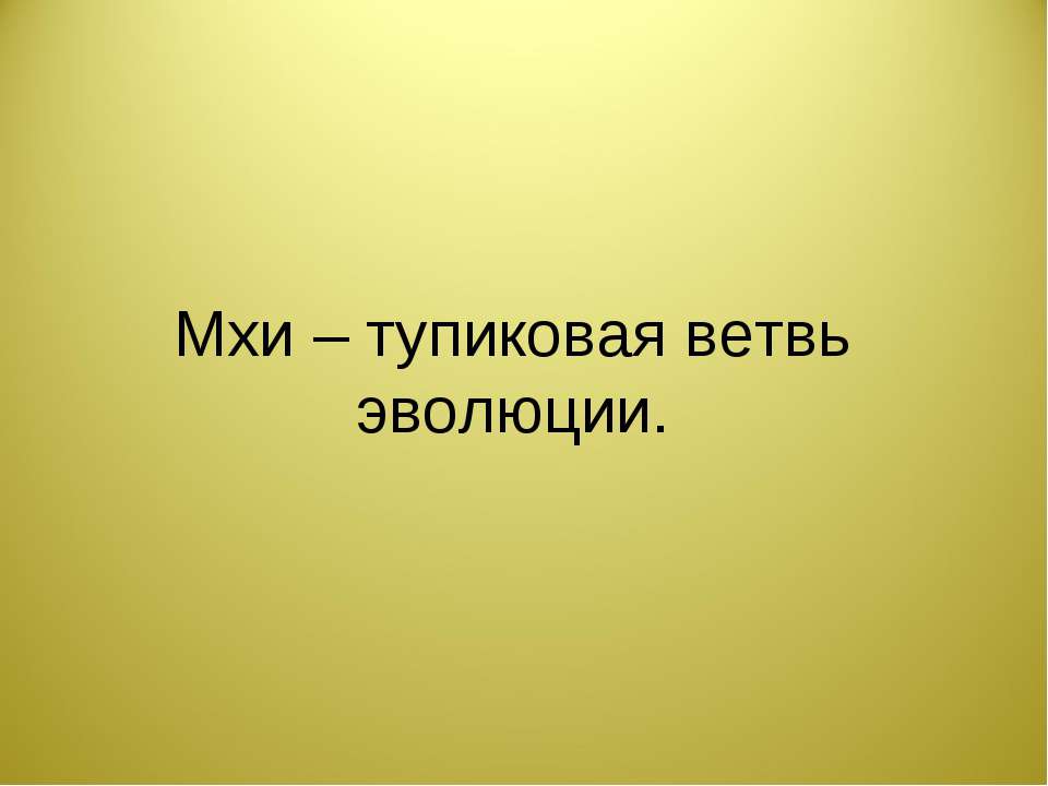 Мхи – тупиковая ветвь эволюции - Скачать Читать Лучшую Школьную Библиотеку Учебников (100% Бесплатно!)