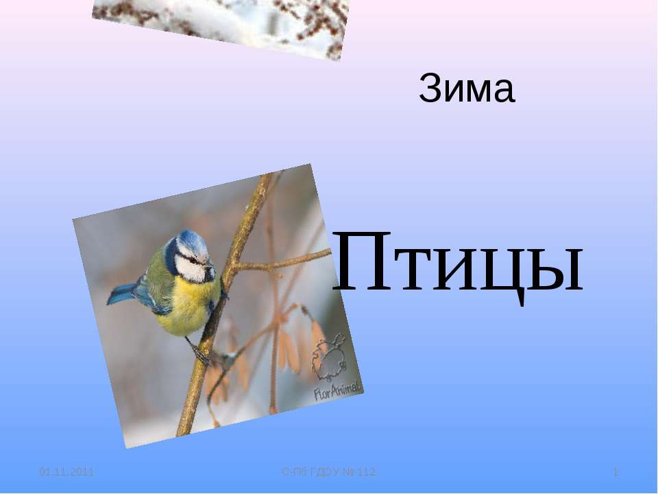 Зима. Птицы - Скачать Читать Лучшую Школьную Библиотеку Учебников
