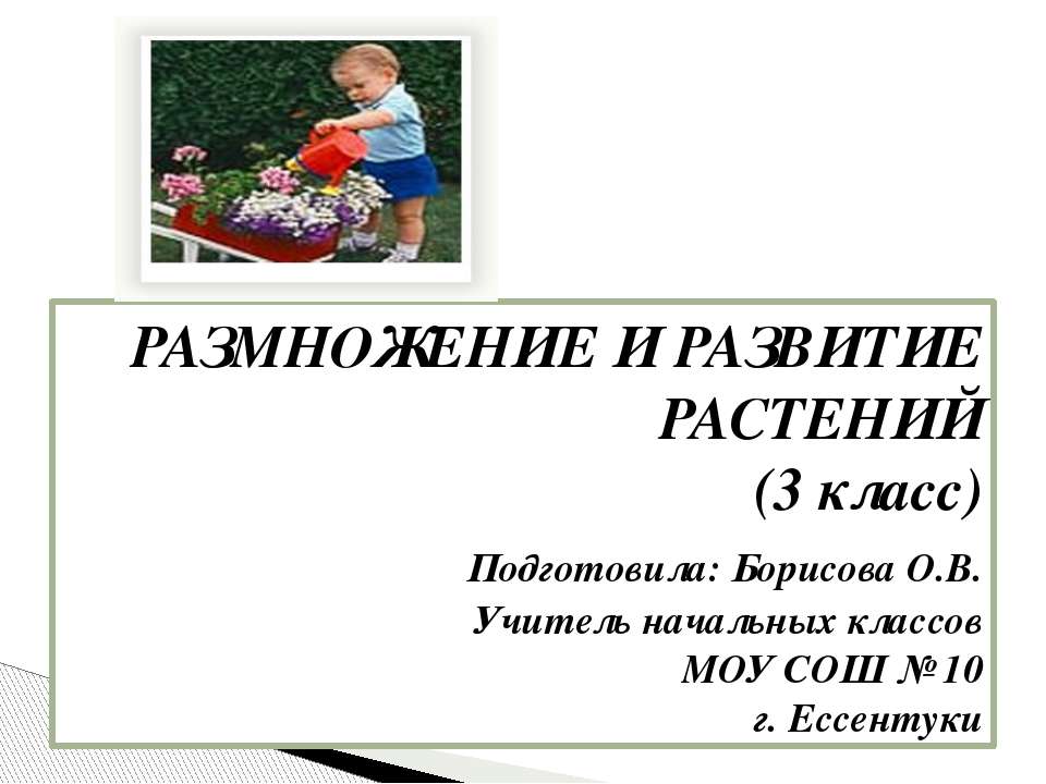 РАЗМНОЖЕНИЕ И РАЗВИТИЕ РАСТЕНИЙ - Скачать Читать Лучшую Школьную Библиотеку Учебников (100% Бесплатно!)