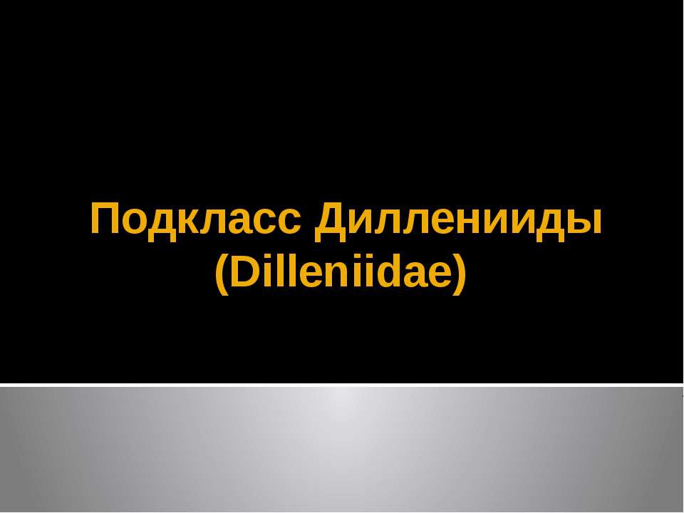 Подкласс Дилленииды (Dilleniidae) - Скачать Читать Лучшую Школьную Библиотеку Учебников (100% Бесплатно!)