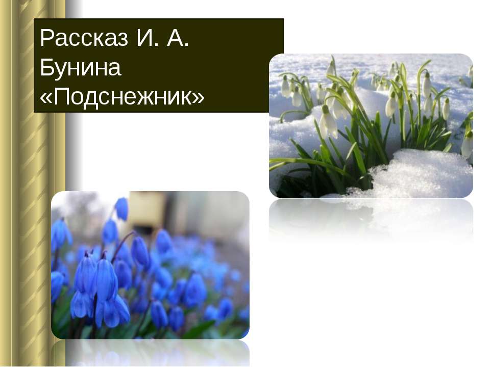 Рассказ И.А. Бунина «Подснежник» - Скачать Читать Лучшую Школьную Библиотеку Учебников (100% Бесплатно!)