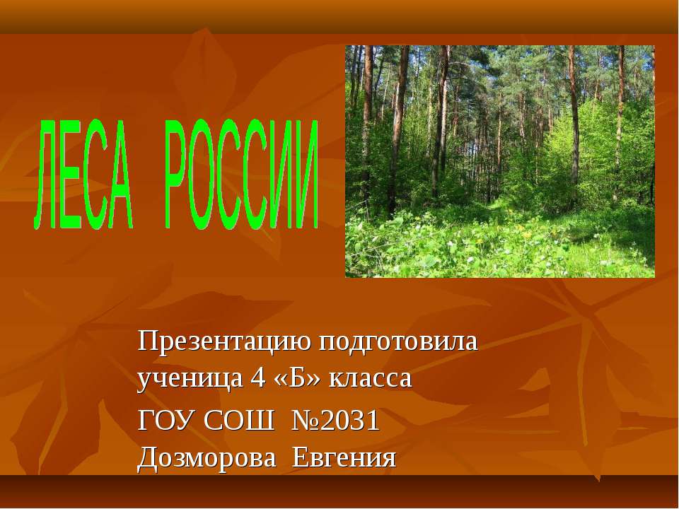 Леса России (4 класс) - Скачать Читать Лучшую Школьную Библиотеку Учебников (100% Бесплатно!)